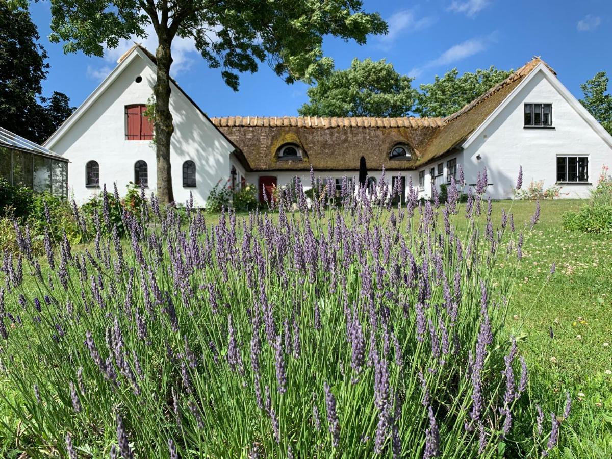 Mariegaardens Gaestehuse Hillerod Bagian luar foto