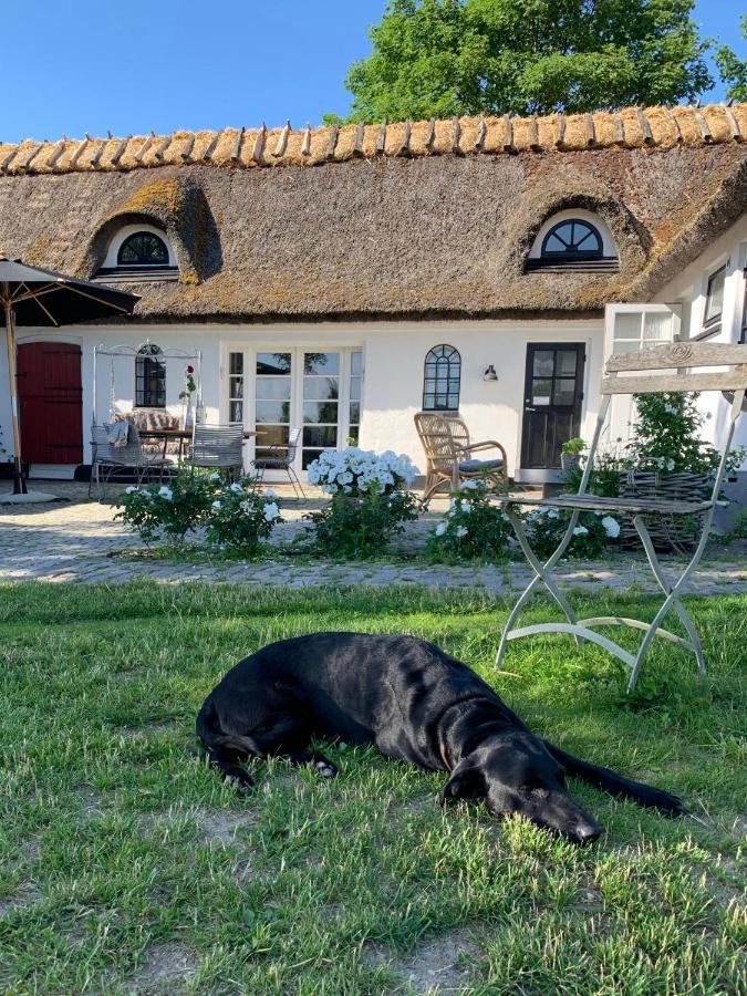 Mariegaardens Gaestehuse Hillerod Bagian luar foto